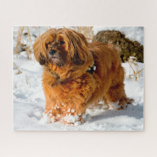 Tibetan Terrier Dog Jigsaws Jigsaw Puzzle