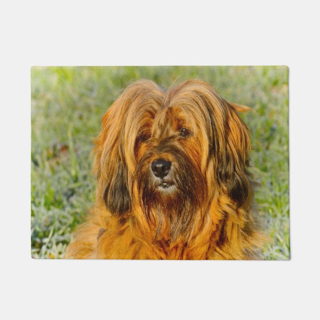 Tibetan Terrier Doormat (Front)