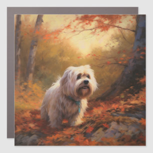 Tibetan Terrier in Autumn Leaves Fall Inspire  Car Magnet