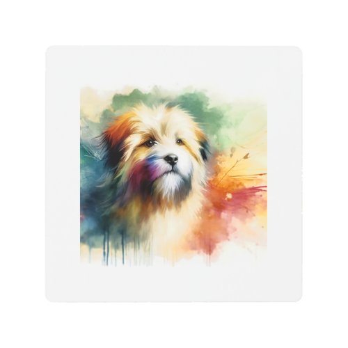 Tibetan Terrier in Colors AREF803 _ Watercolor Metal Print