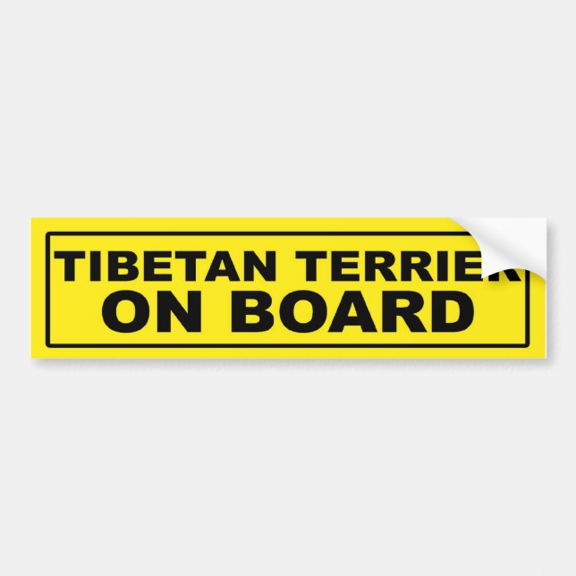 Tibetan Terrier on Board Bumper Sticker (Front)