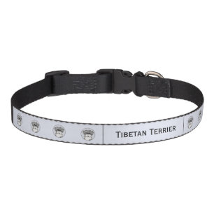 Tibetan Terrier Painting - Cute Original Dog Art Pet Collar