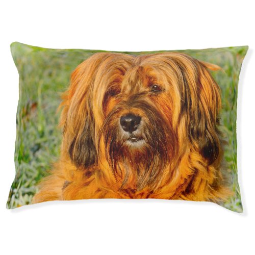 Tibetan Terrier Pet Bed