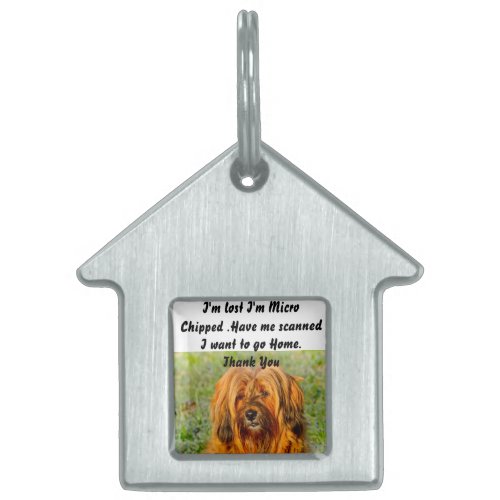 Tibetan Terrier Pet ID Tag