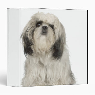 Tibetan Terrier Puppy 3 Ring Binder