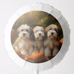 Tibetan Terrier Puppy Autumn Delight Pumpkin Balloon