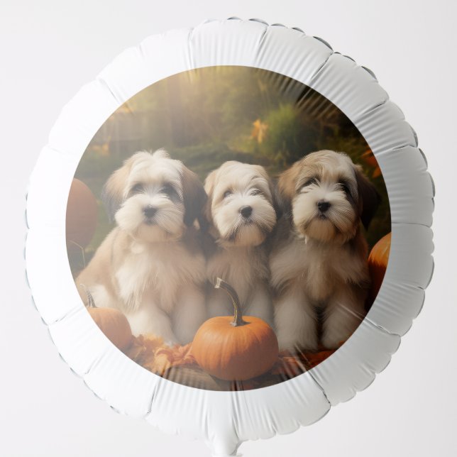 Tibetan Terrier Puppy Autumn Delight Pumpkin Balloon (Front)