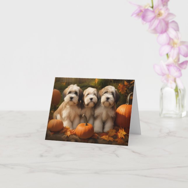Tibetan Terrier Puppy Autumn Delight Pumpkin Card (Orchid)