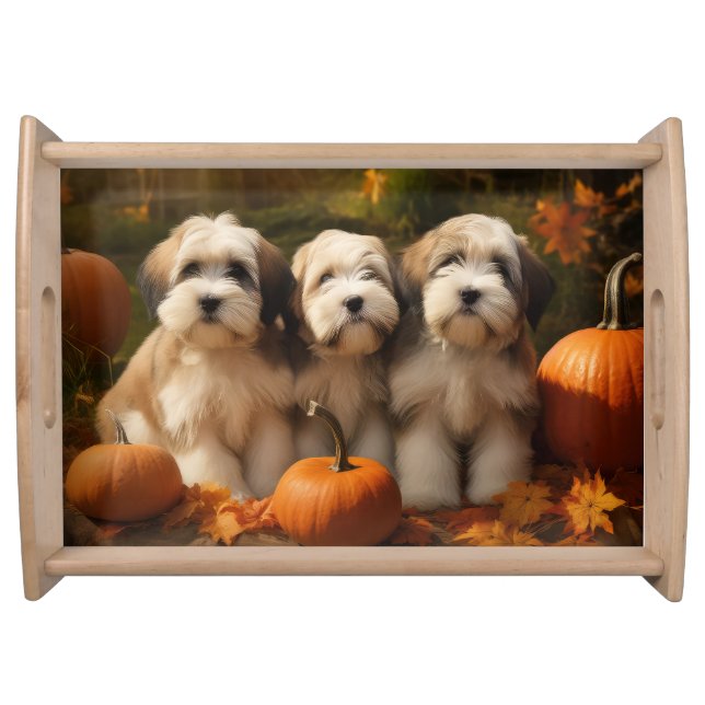 Tibetan Terrier Puppy Autumn Delight Pumpkin Serving Tray (Front)