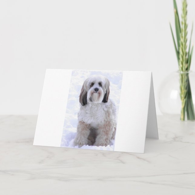 Tibetan Terrier Sable and White Card (Front)