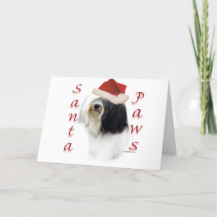 Tibetan Terrier Santa Paws Holiday Card