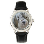Tibetan Terrier Watch