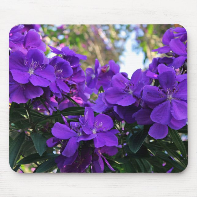 Tibouchina flowers mouse pad (Front)