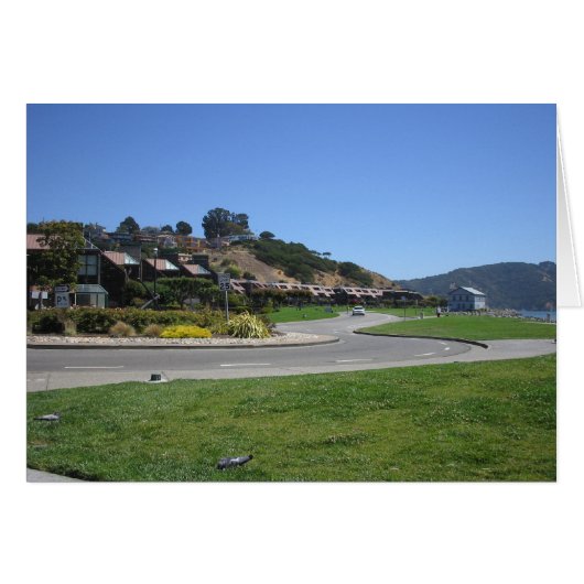 Tiburon Cards (Front Horizontal)