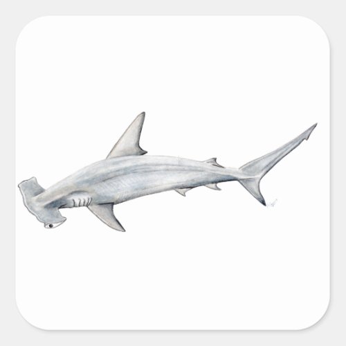 Tiburon martillo _ Hammer head shark Square Sticker