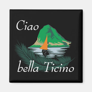 Ticino Svizzera / Tessin Schweiz Magnet