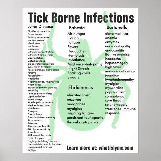 Tick Borne Infections Symptoms Educational Poster 