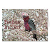 Tickled Pink (Front Horizontal)