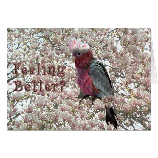 Tickled Pink (Front Horizontal)