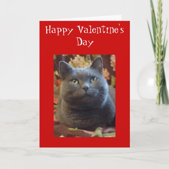 Tickles Holiday Card (Front)