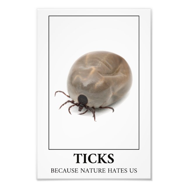 Ticks Because Nature Hates Us – Parasite Fun Photo Print (Front)