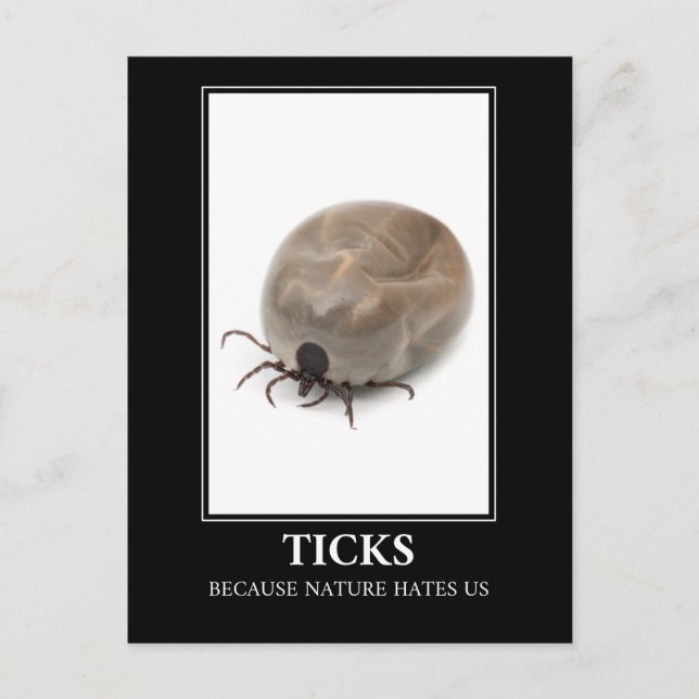 Ticks Because Nature Hates Us – Parasite Fun Postcard (Front)