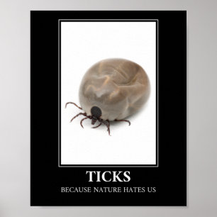Ticks Because Nature Hates Us – Parasite Fun Poster