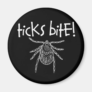 ticks_bite_magnets-r43170f91f96e410a9e6e5686fef91066_x7js9_8byvr_324