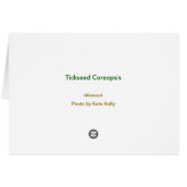 Tickseed Coreopsis Cards (Back Horizontal)