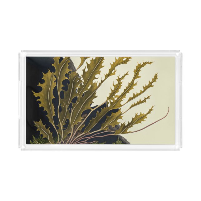Tidal Fronds Acrylic Tray (Front)