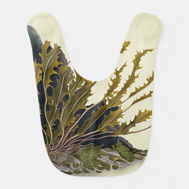 Tidal Fronds Baby Bib (Front)