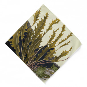 Tidal Fronds Bandana
