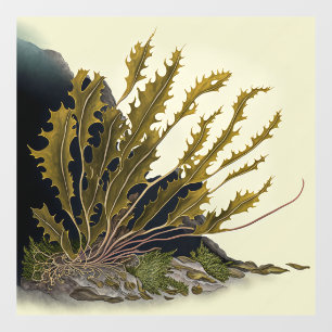 Tidal Fronds Floor Decals
