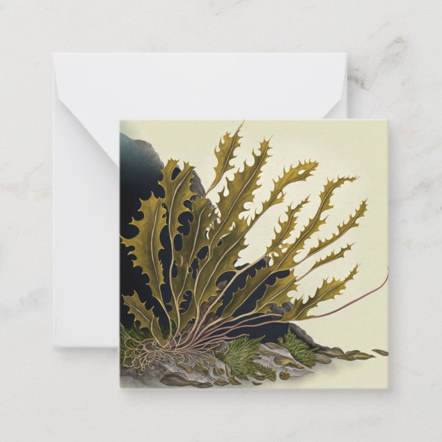 Tidal Fronds Note Card (Front)