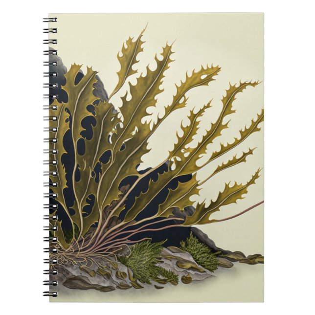 Tidal Fronds Notebook (Front)