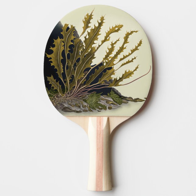 Tidal Fronds Ping Pong Paddle (Front)
