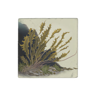 Tidal Fronds Stone Magnet