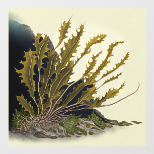 Tidal Fronds Wall Decal