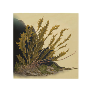 Tidal Fronds Wood Wall Art