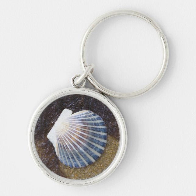 Tidal Pool Keychain (Front)