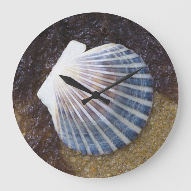 Tidal Pool Large Clock (Front)