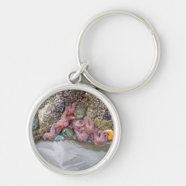 Tidal Pool, Ruby Beach, Olympic National Park Keychain (Front)