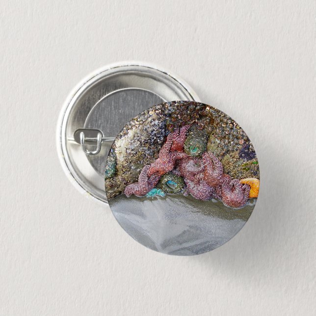 Tidal Pool, Ruby Beach, Olympic National Park Pinback Button (Front & Back)
