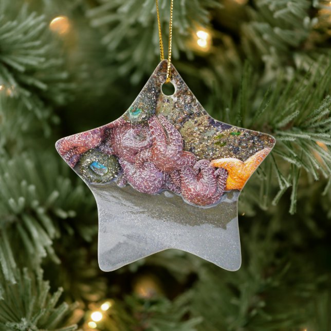 Tidal Pool, Ruby Beach, Sunset over Lake Crescent Ceramic Ornament (Tree)