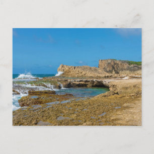 Tidal Pools and Rock Ledges of Punta Las Tunas Postcard