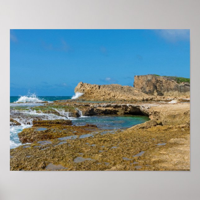 Tidal Pools and Rock Ledges of Punta Las Tunas Poster (Front)