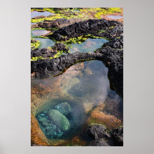 Tidal pools poster