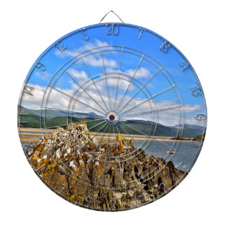 TIDAL RIVER DART BOARD