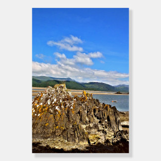 TIDAL RIVER FOAM BOARD