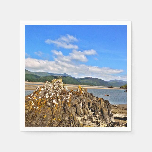 TIDAL RIVER NAPKINS (Front)